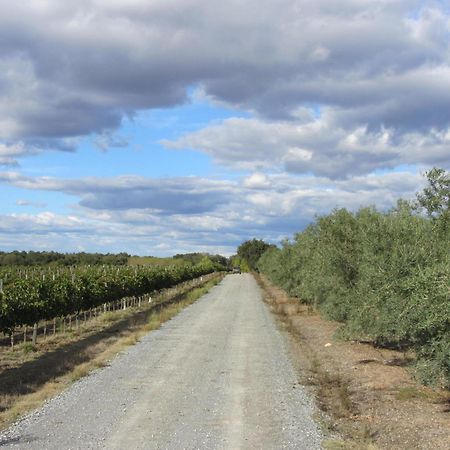 Monte Da Boavista - Country Family House Villa Alter do Chao Luaran gambar
