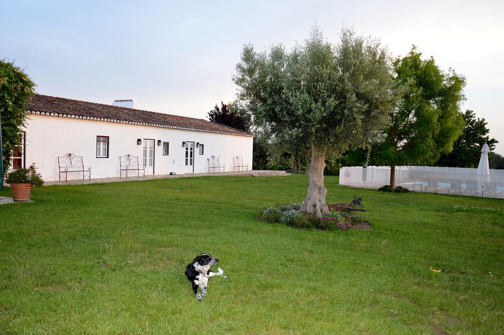 Monte Da Boavista - Country Family House Villa Alter do Chao Luaran gambar