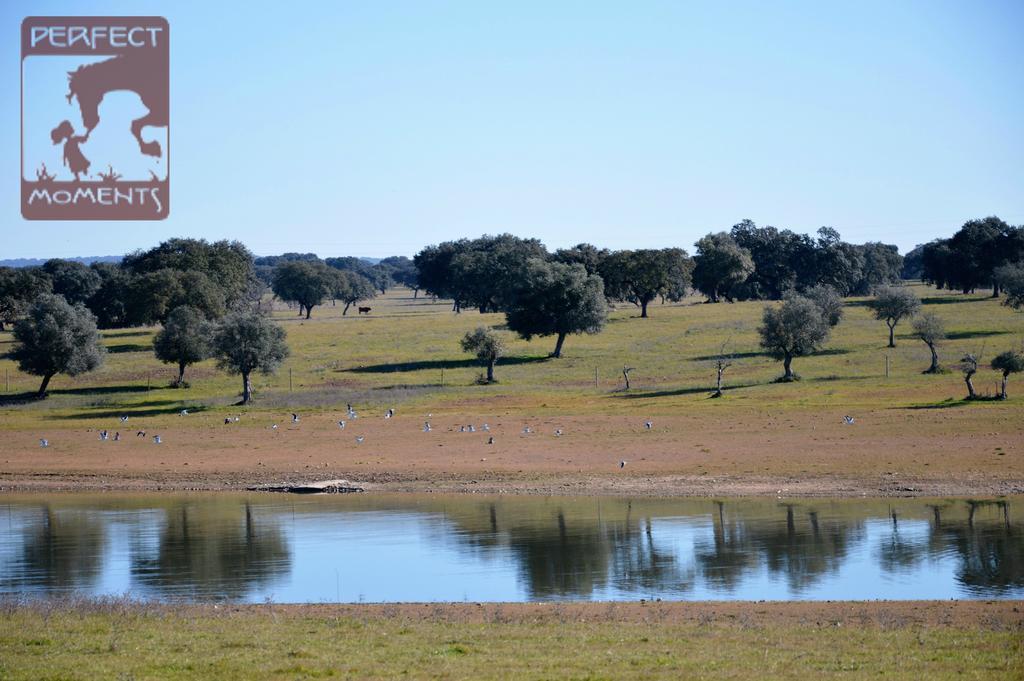 Monte Da Boavista - Country Family House Villa Alter do Chao Luaran gambar